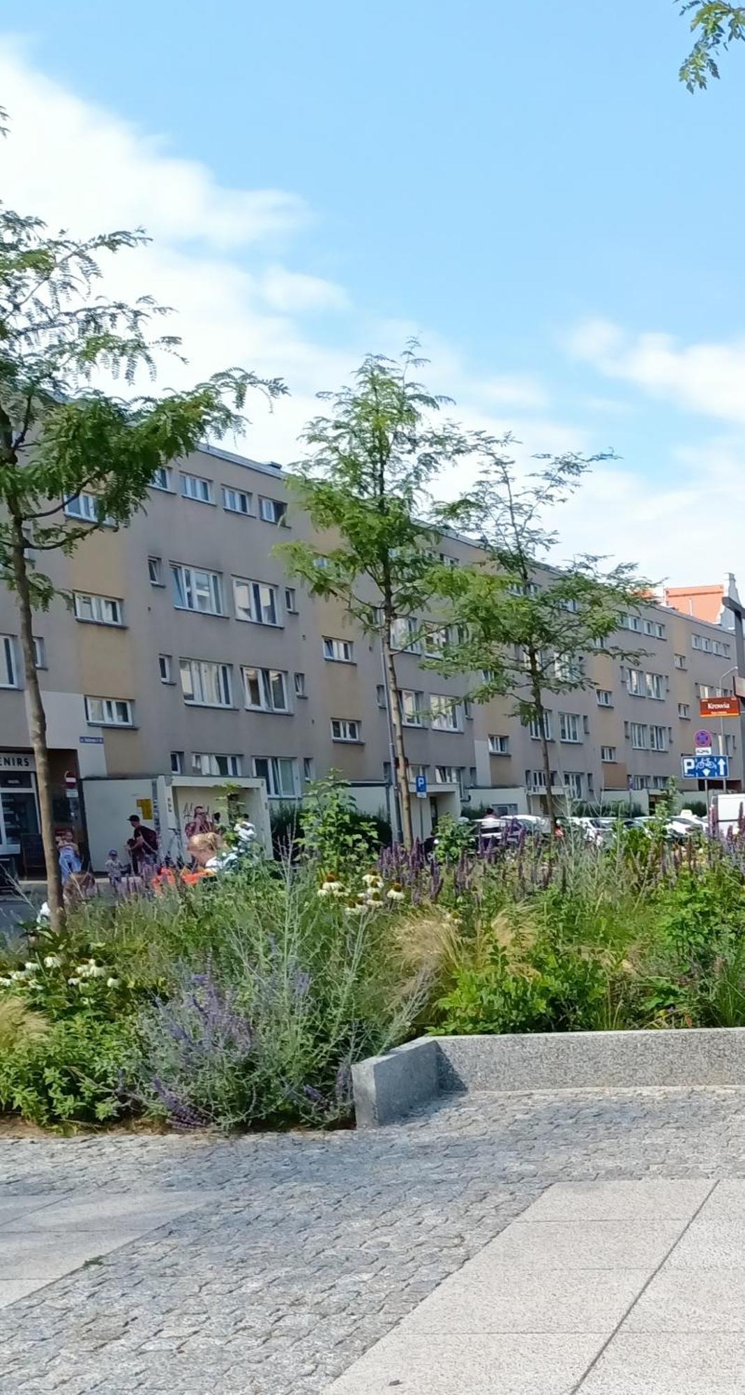 Kotlarska Apartment Wrocław Exterior foto